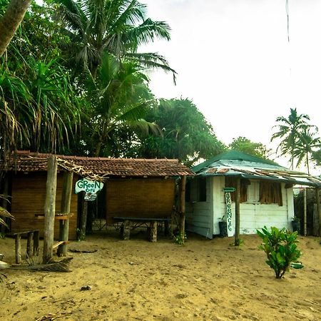 Hikkaduwa Backyard Beach Homestay Galle Exterior photo