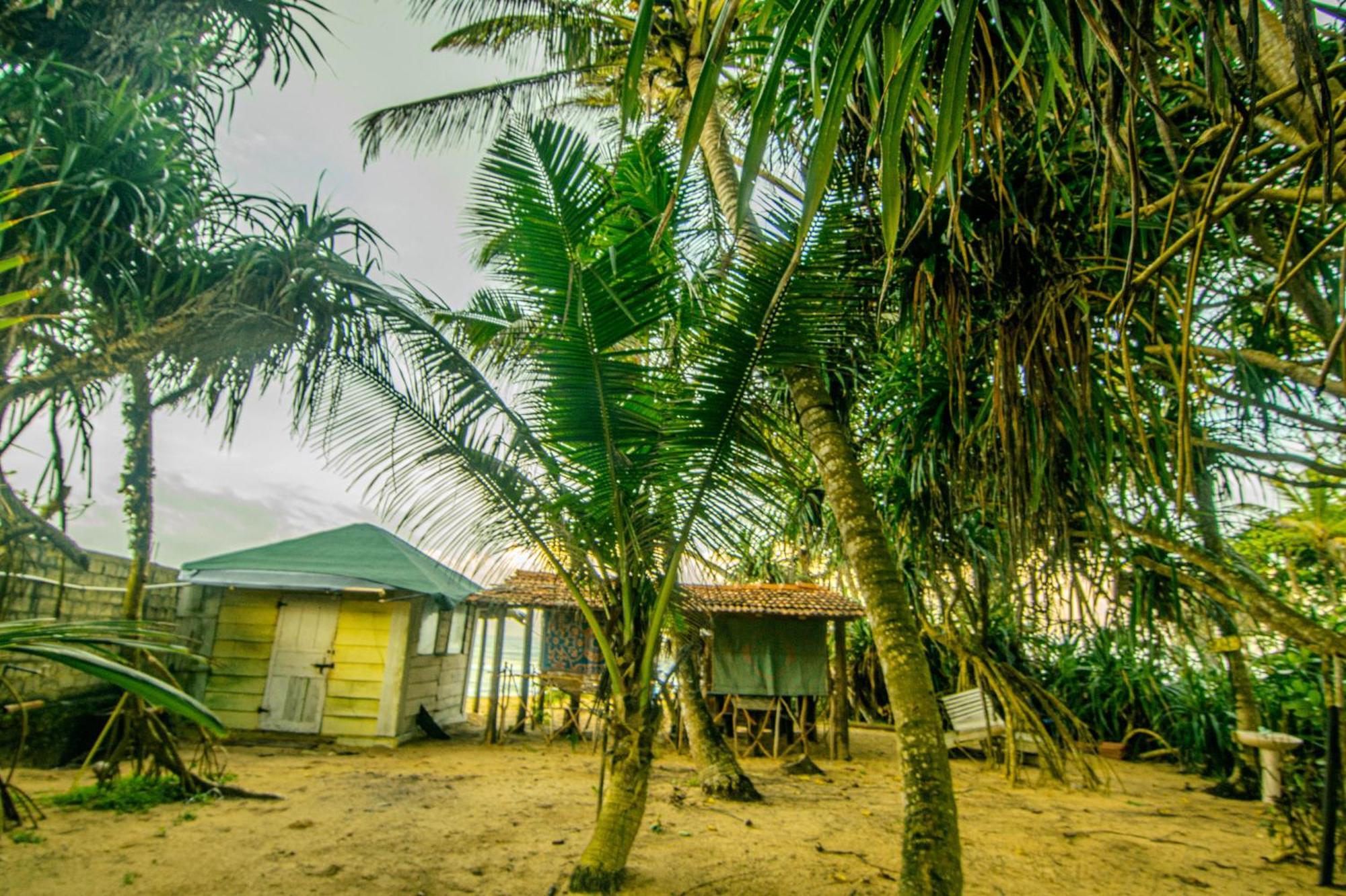 Hikkaduwa Backyard Beach Homestay Galle Exterior photo