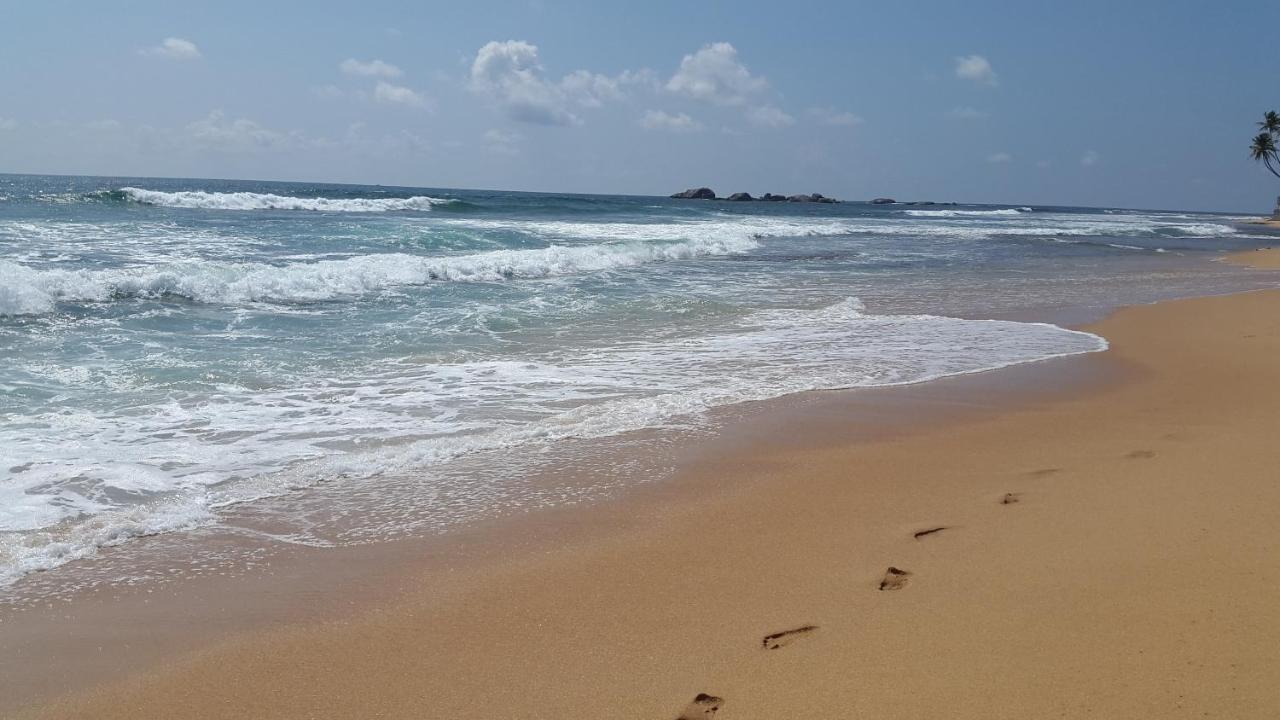 Hikkaduwa Backyard Beach Homestay Galle Exterior photo