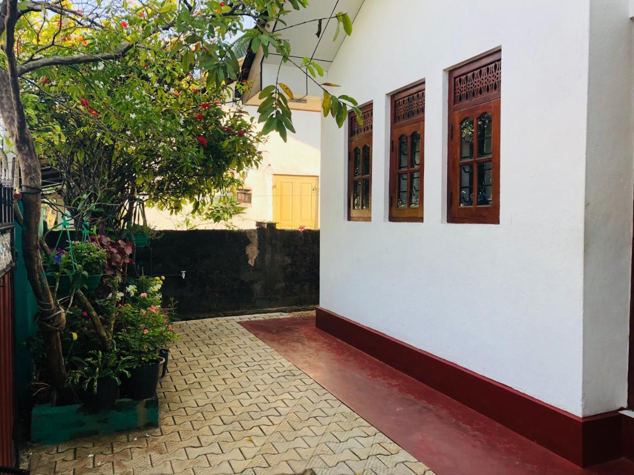 Hikkaduwa Backyard Beach Homestay Galle Exterior photo
