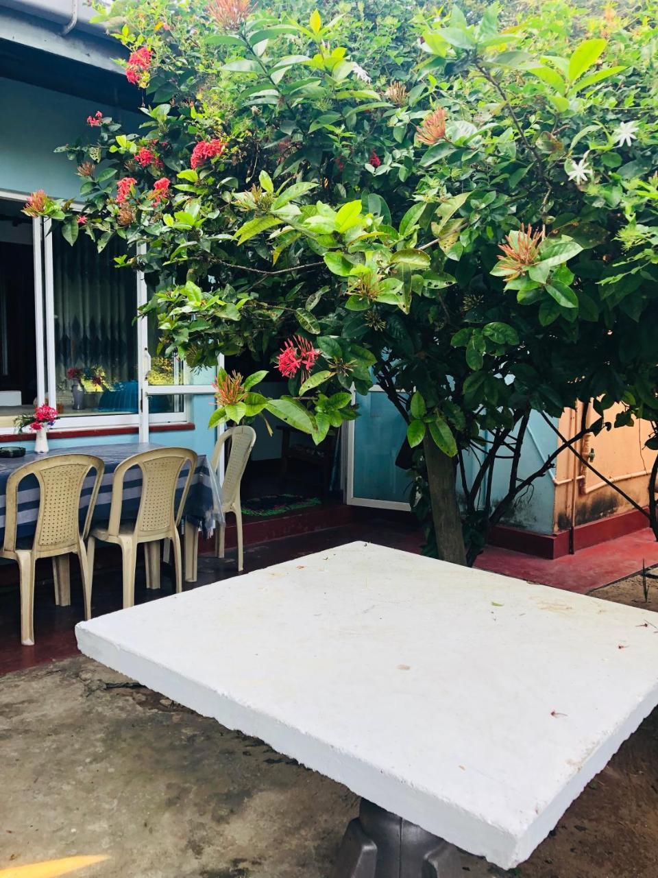 Hikkaduwa Backyard Beach Homestay Galle Exterior photo