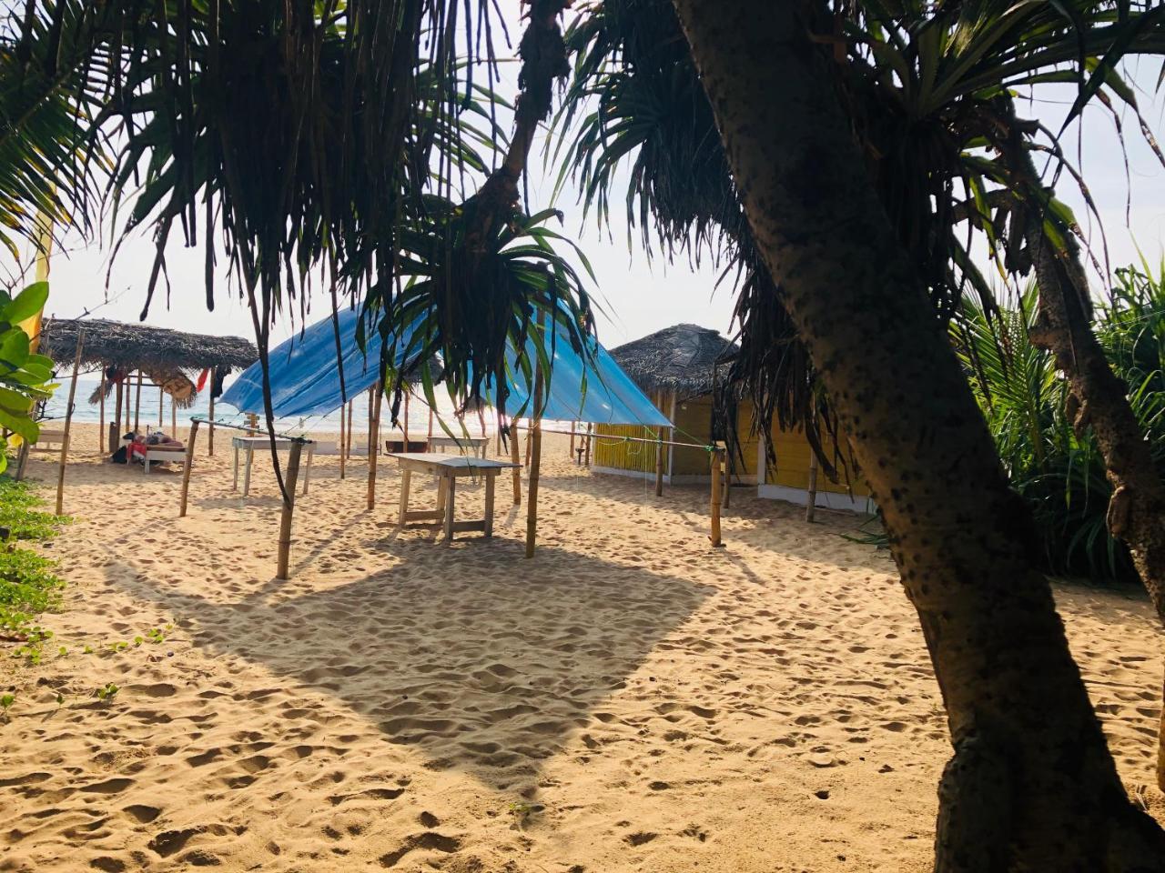 Hikkaduwa Backyard Beach Homestay Galle Exterior photo