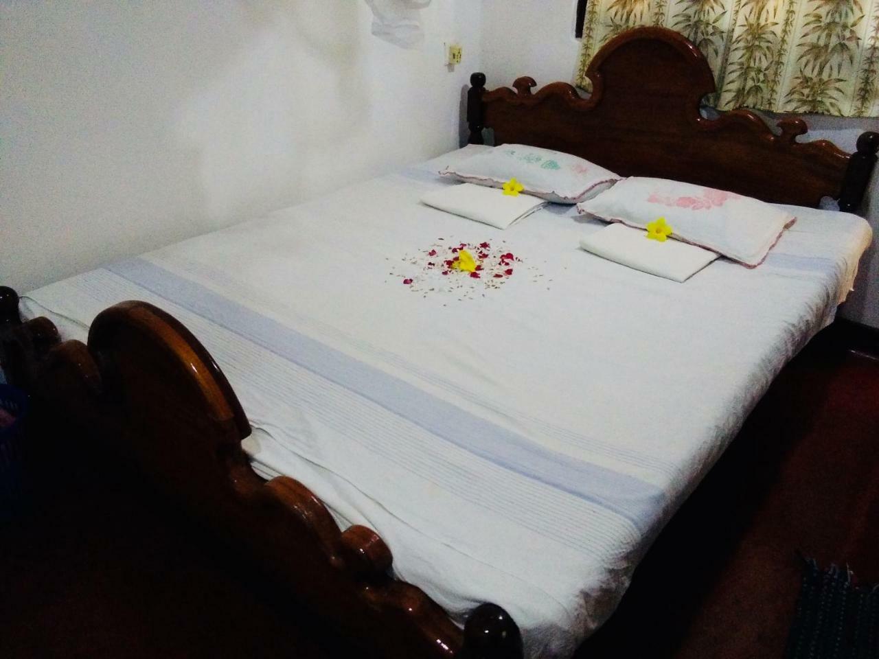 Hikkaduwa Backyard Beach Homestay Galle Exterior photo