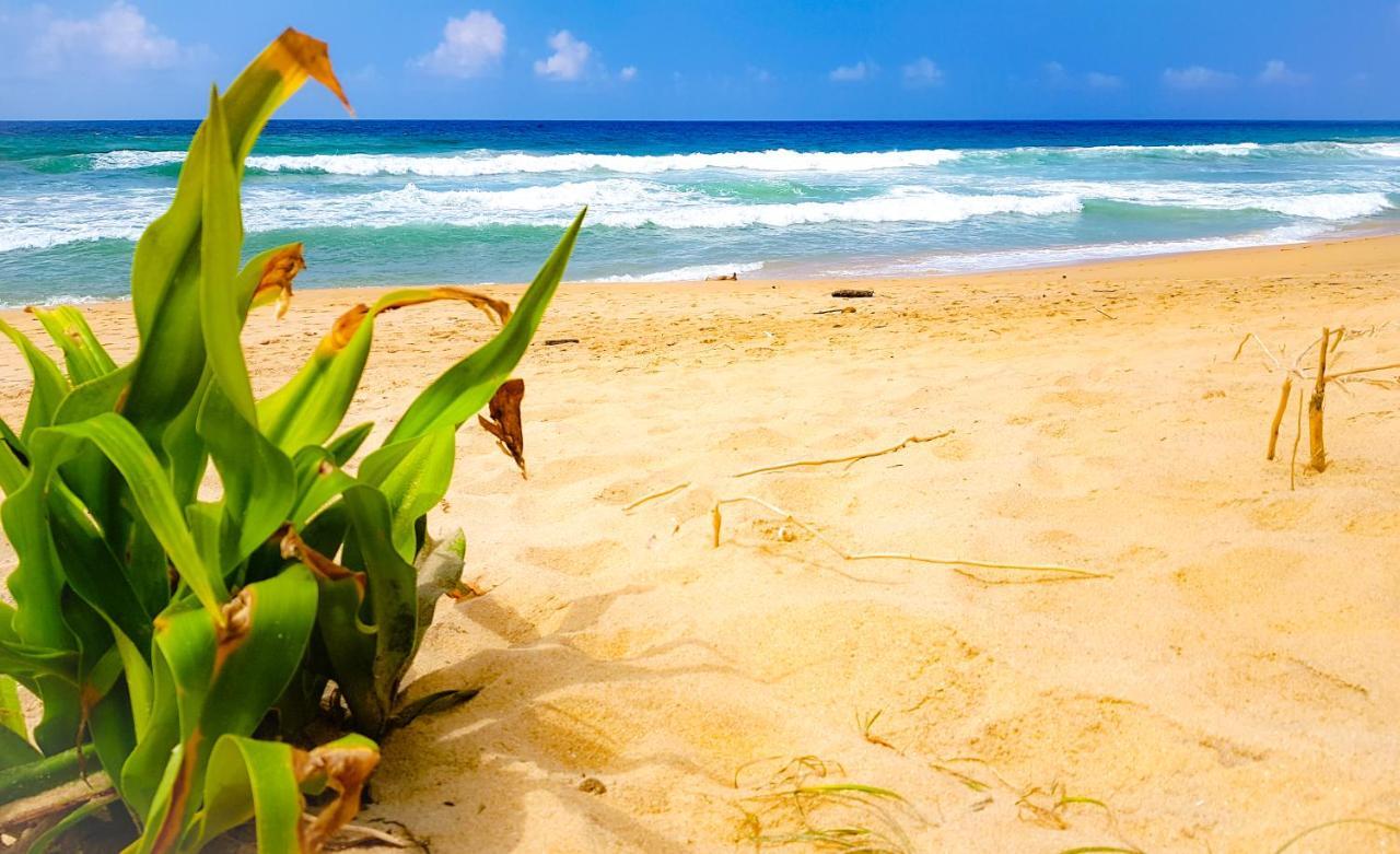 Hikkaduwa Backyard Beach Homestay Galle Exterior photo