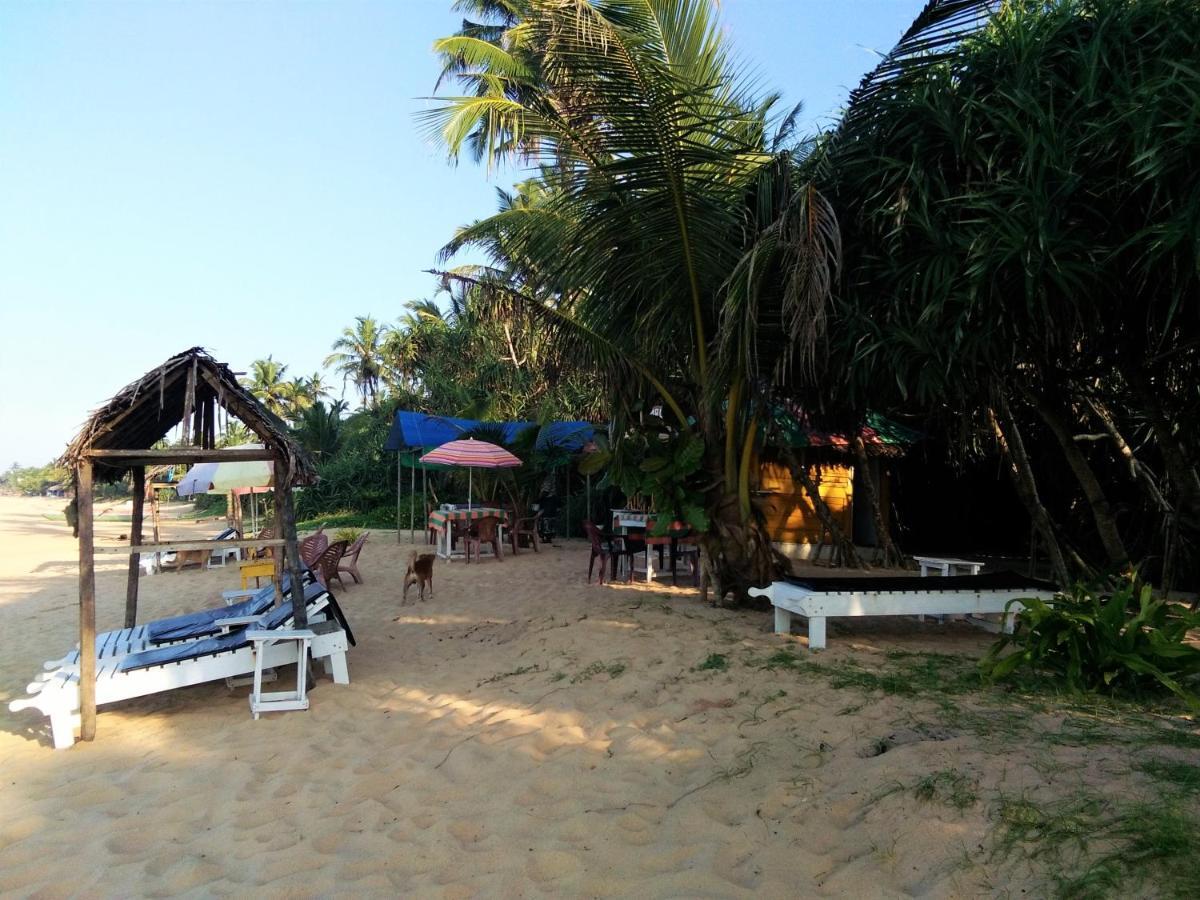 Hikkaduwa Backyard Beach Homestay Galle Exterior photo